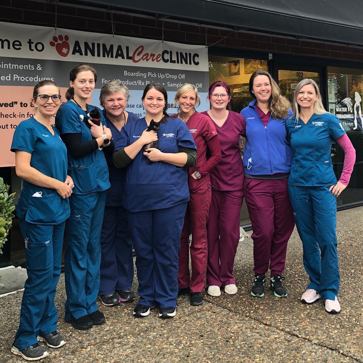 Veterinarian in Wilsonville | Vets Near Me | Animal Care Clinic