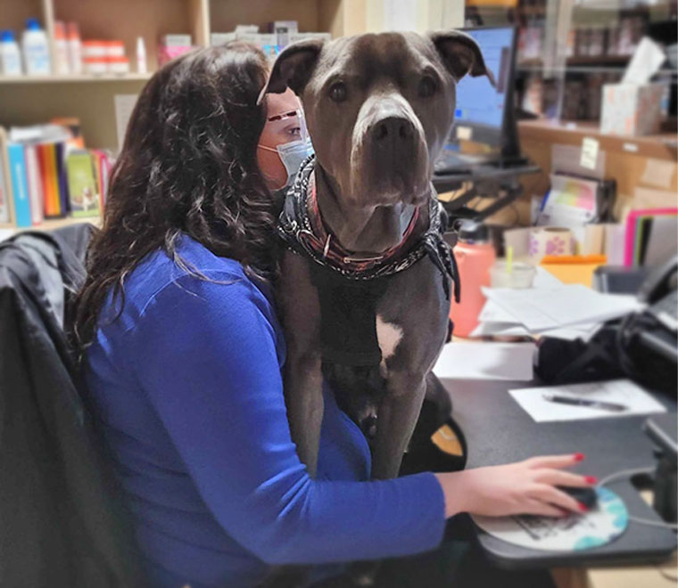 Veterinarian in Wilsonville | Vets Near Me | Animal Care Clinic