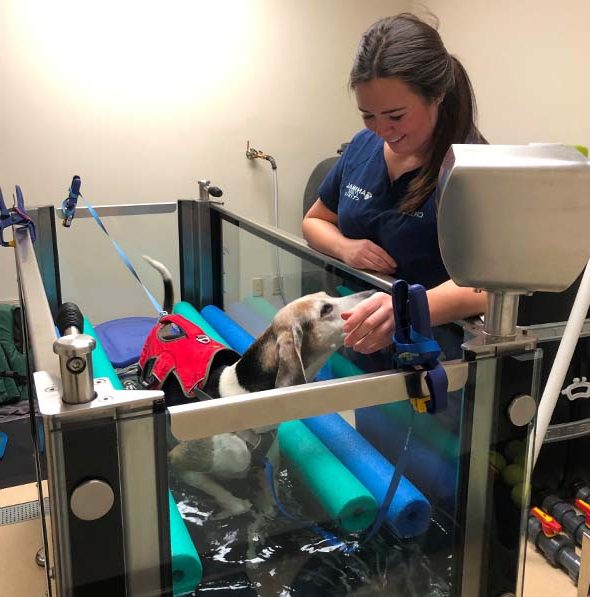 Water Treadmill Therapy Vet in Wilsonville Animal Care Clinic